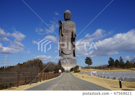 January Ushiku Great Buddha 09 Amida Buddha 47569021