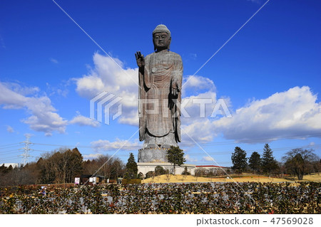 January Ushiku Great Buddha 03 Amida Buddha January Ushiku Great Buddha 03 Amida Buddha 47569028