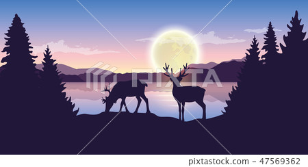 two reindeers by the lake at night with full moon purple nature landscape two reindeers by the lake at night with full moon purple nature landscape 47569362