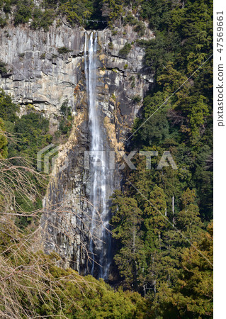 Nachi's waterfall Nachi's waterfall 47569661