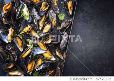 Traditional barbecue Italian blue mussels Traditional barbecue Italian blue mussels 47570296