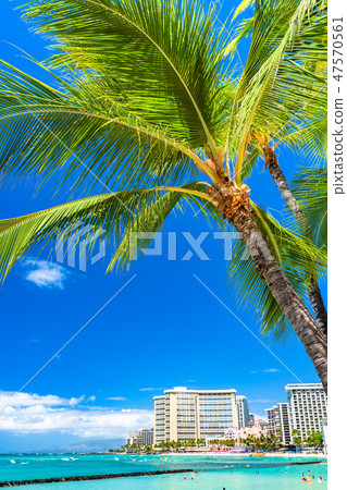 "Hawaii" Waikiki Beach / Oahu Island 47570561