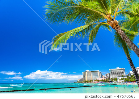 "Hawaii" Waikiki Beach / Oahu Island 47570563