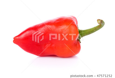 chili pepper on white background 47571252