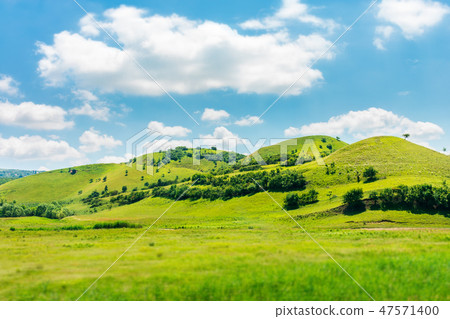 green hill in summer landscape 47571400