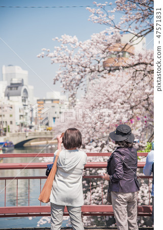 [岡川真喜吉野] 47571831