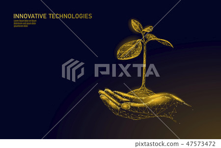 Low poly hands holding golden tree sprout. Wealth prosperity saving money growing income profit Low poly hands holding golden tree sprout. Wealth prosperity saving money growing income profit 47573472