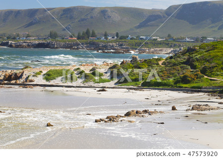 Hermanus beach view, South Africa Hermanus beach view, South Africa 47573920