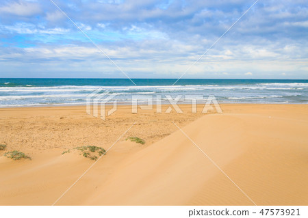 Addo Elephant National Park marine area  47573921