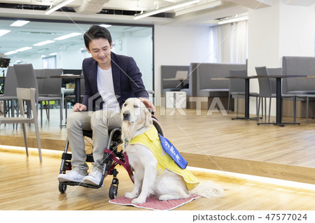 由日本環球協會材料殘疾人負責狗輪椅監督 47577024