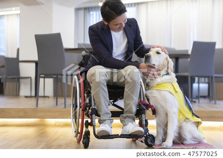 Supervised by the Japan Universal Manner Association Material Handicapped Person in charge dog Wheelchair Supervised by the Japan Universal Manner Association Material Handicapped Person in charge dog Wheelchair 47577025