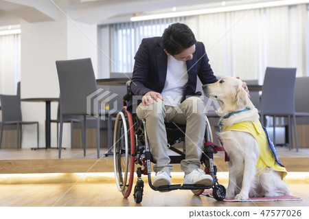 Supervised by the Japan Universal Manner Association Material Handicapped Person in charge dog Wheelchair Supervised by the Japan Universal Manner Association Material Handicapped Person in charge dog Wheelchair 47577026