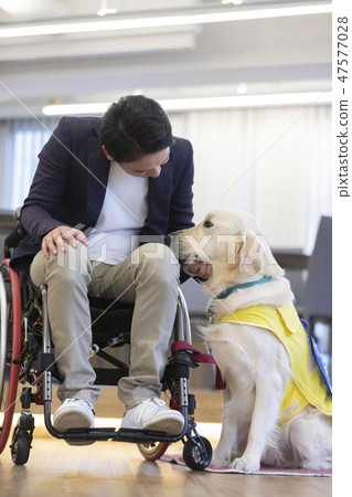 Supervised by the Japan Universal Manner Association Material Handicapped Person in charge dog Wheelchair Supervised by the Japan Universal Manner Association Material Handicapped Person in charge dog Wheelchair 47577028