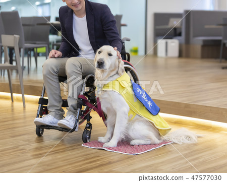 Supervised by the Japan Universal Manner Association Material Handicapped Person in charge dog Wheelchair 47577030