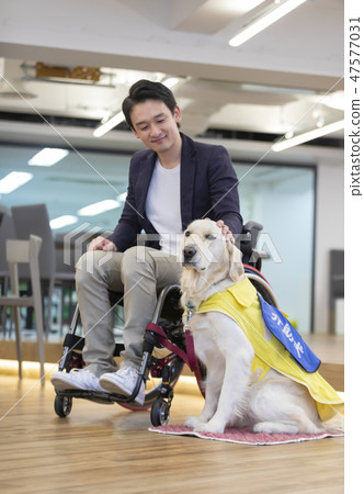 由日本環球協會材料殘疾人負責狗輪椅監督 47577031