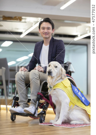 由日本環球協會材料殘疾人負責狗輪椅監督 47577032