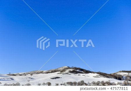 Parade meadow, Inner Mongolia, China 47577811