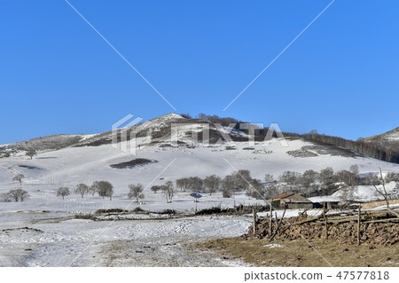 Parade meadow, Inner Mongolia, China Parade meadow, Inner Mongolia, China 47577818