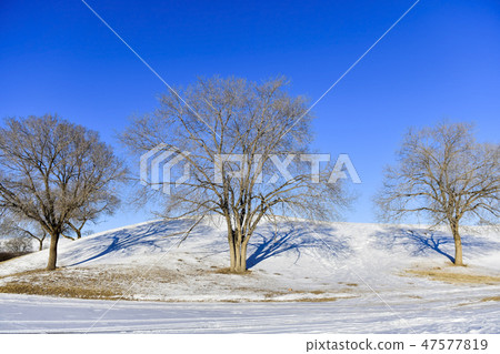 Parade meadow, Inner Mongolia, China 47577819