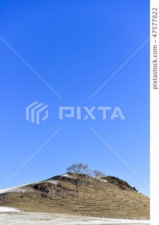 Parade meadow, Inner Mongolia, China Parade meadow, Inner Mongolia, China 47577822