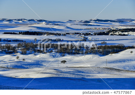 Tree, Parade meadow, Inner Mongolia, China Tree, Parade meadow, Inner Mongolia, China 47577867