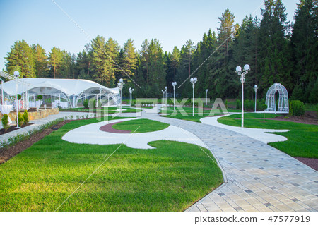 Image of the beautiful white wedding tent in forest 47577919