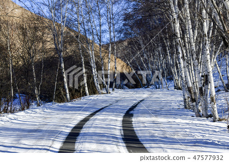 Parade meadow, Inner Mongolia, China Parade meadow, Inner Mongolia, China 47577932