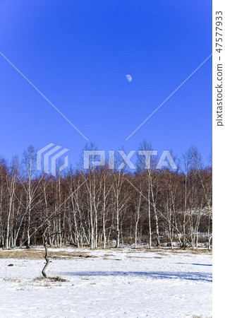 Parade meadow, Inner Mongolia, China Parade meadow, Inner Mongolia, China 47577933