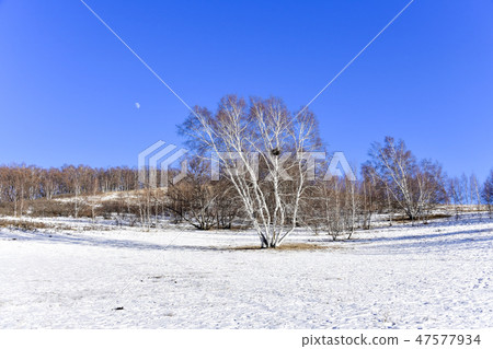 Parade meadow, Inner Mongolia, China Parade meadow, Inner Mongolia, China 47577934