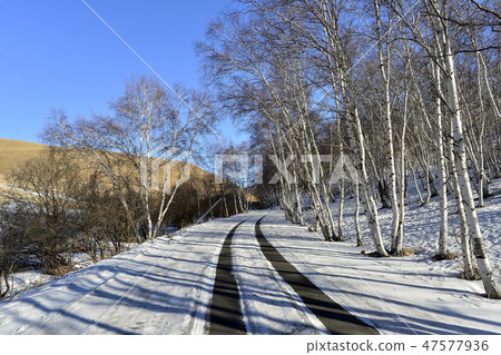 Parade meadow, Inner Mongolia, China Parade meadow, Inner Mongolia, China 47577936
