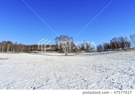 Parade meadow, Inner Mongolia, China Parade meadow, Inner Mongolia, China 47577937