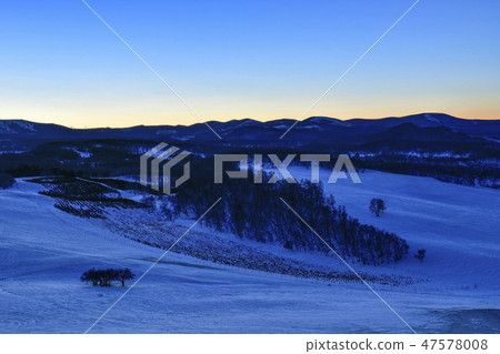 Tree, Parade meadow, Inner Mongolia, China Tree, Parade meadow, Inner Mongolia, China 47578008