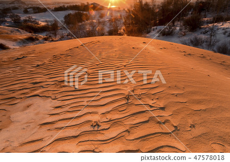 Tree, Parade meadow, Inner Mongolia, China 47578018