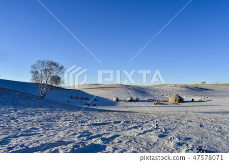 Parade meadow, Inner Mongolia, China 47578071