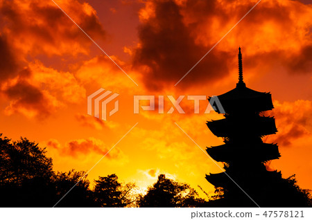 Ikegami Honmonji的夕陽輝光 47578121