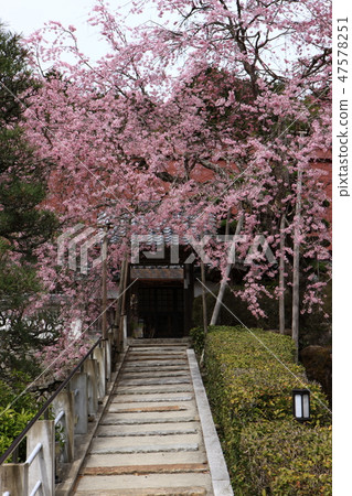 從Yanase寺出發 從Yanase寺出發 47578251