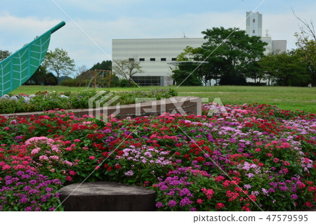 大分市佐野植物園 47579595