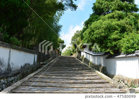 帳戶邊坡 47580099