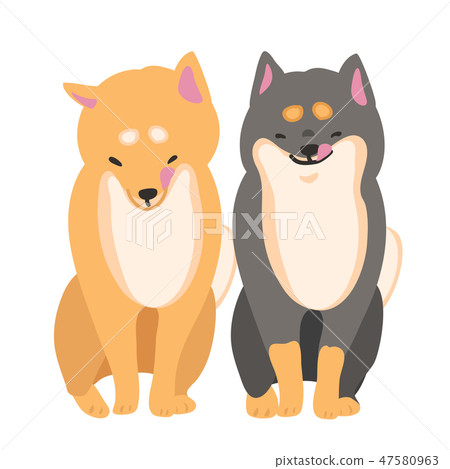 Shiba Inu狗Akaiba Kuroba姿勢面對坐的pelori 47580963