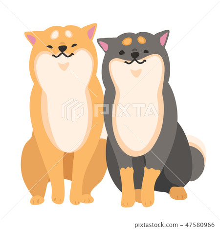 Shiba Inu Dog Akaiba Kuroba pose facial expression Heartwarming 47580966