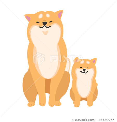 Shiba Inu狗父母姿勢面部表情溫暖 47580977