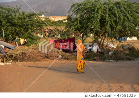 A group of camels gathering in the Pushkar desert in India Indian women living in the desert and camping tents A group of camels gathering in the Pushkar desert in India Indian women living in the desert and camping tents 47581329