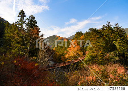 Akiruno City, Tokyo Autumn Sky and Autumn Akigawa Valley 47582266