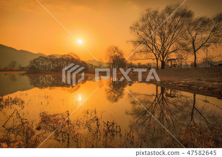 Sunrise sunrise 47582645