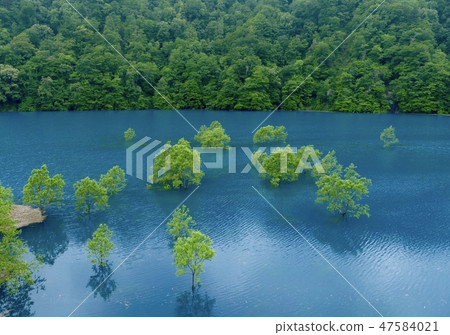 "Armored field dam" Semboku, Akita prefecture "Armored field dam" Semboku, Akita prefecture 47584021