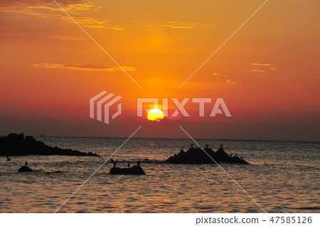 在Gongju,慶州,韓國海灘的日出 在Gongju,慶州,韓國海灘的日出 47585126