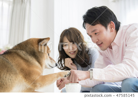保持Shiba Inu的夫婦 保持Shiba Inu的夫婦 47585145
