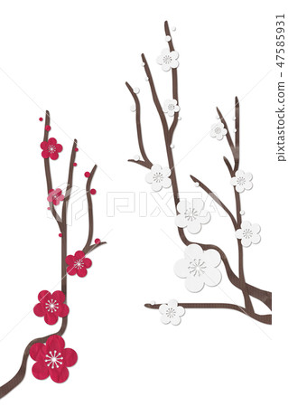 梅花紅梅花 梅花紅梅花 47585931