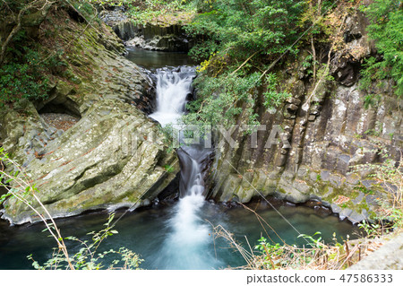 [靜岡縣] Kawazu Nanatsuri Umetsu瀑布 47586333