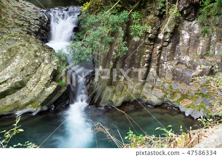 [靜岡縣] Kawazu Nanatsuri Umetsu瀑布 47586334